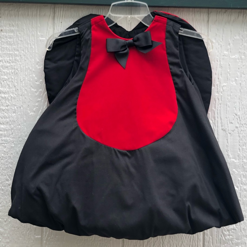 Ladybug costume